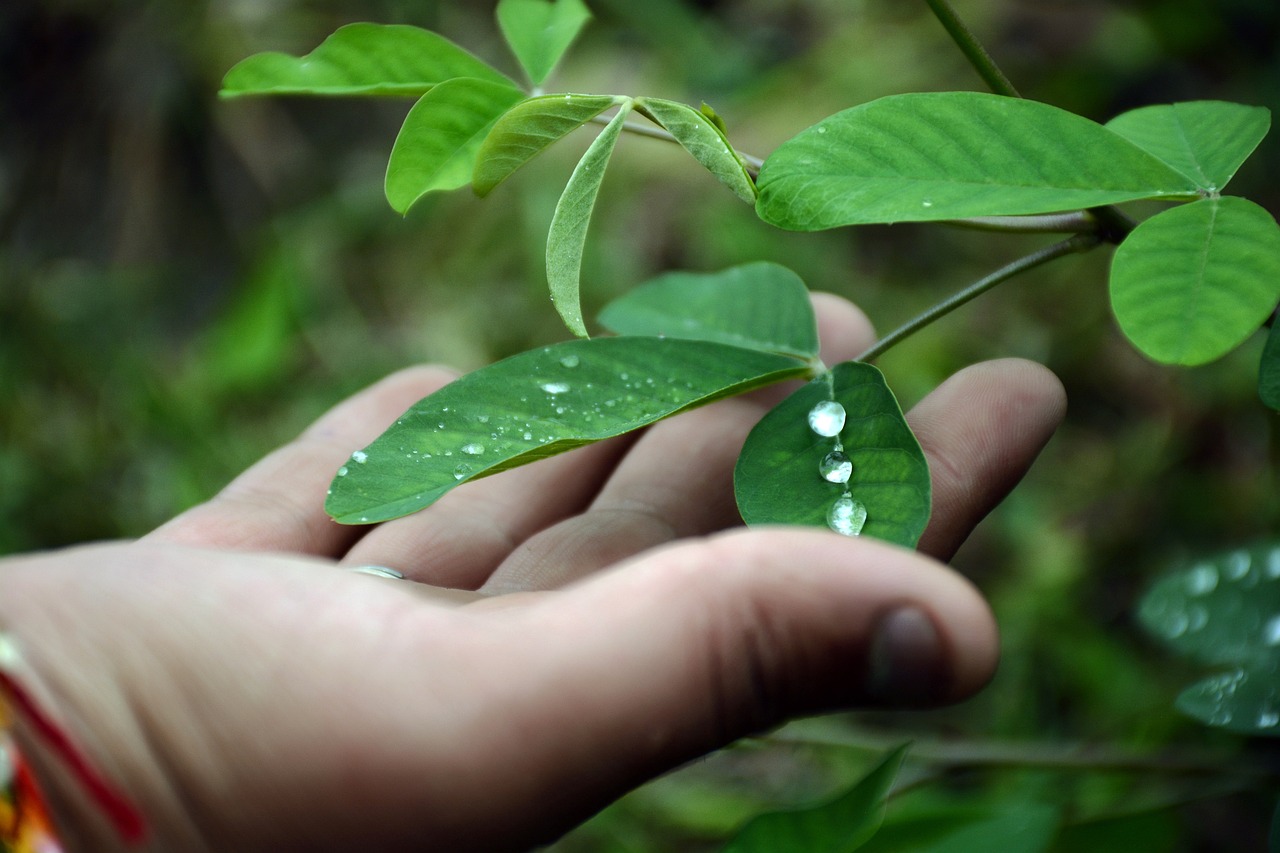 environment